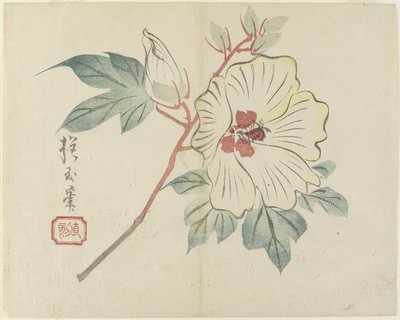 Large White Flower, c. 1830 by Hogyoku